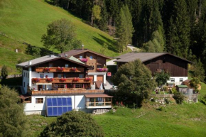 Berggasthof-Ferienbauernhof Habersatt Altenmarkt Im Pongau